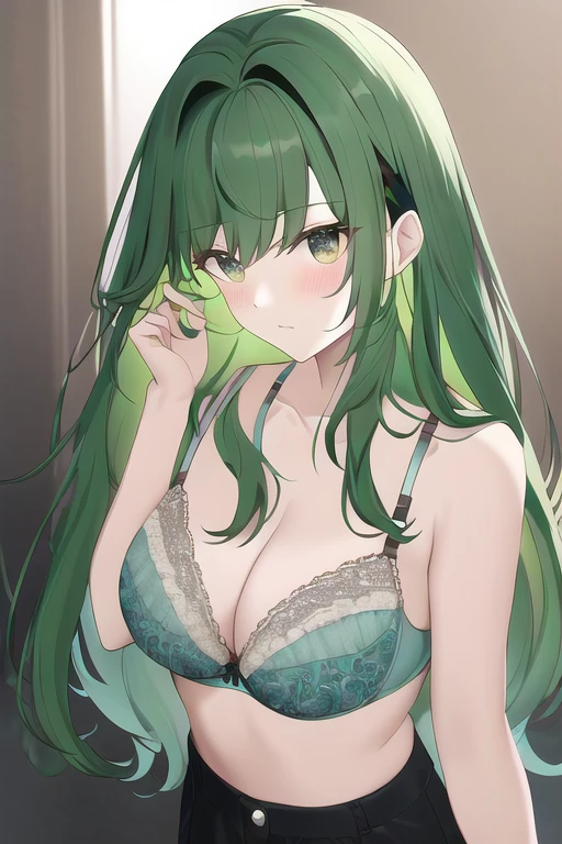 [NovelAI] Bra Long hair Masterpiece [Illustration]